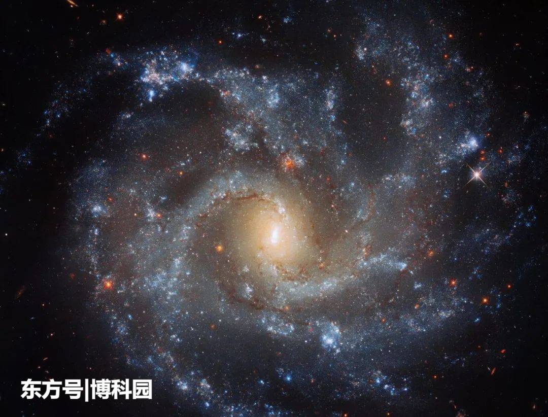 为什么很多星系中心都有凸起?原来又是超大质量黑洞从中作祟!