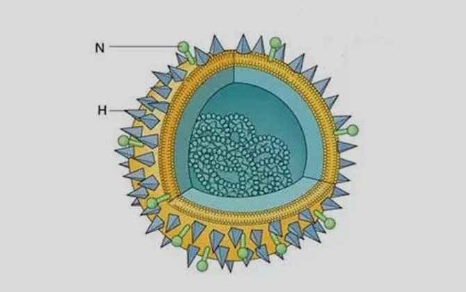 H7N9ʲô341 / : / ID:124693