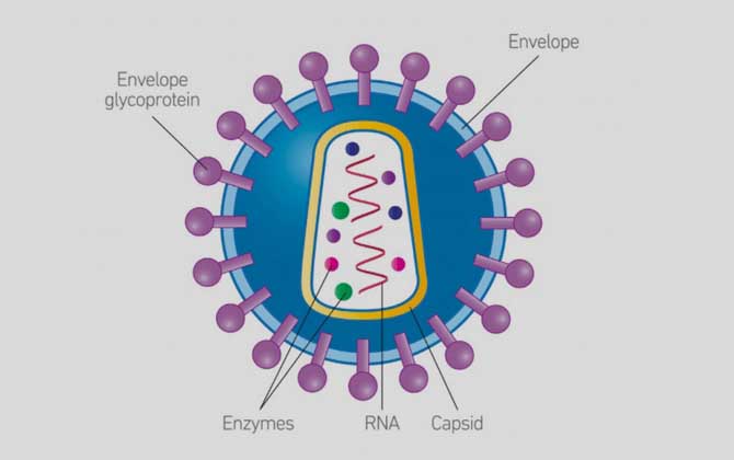 HIVʲô986 / :嶾к / ID:124441