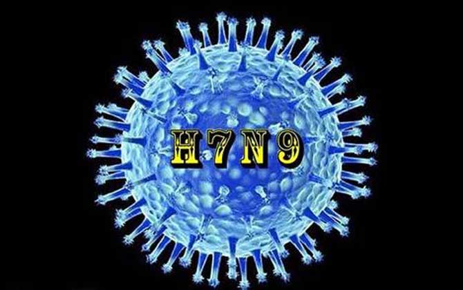 H7N9ʲô813 / : / ID:124693