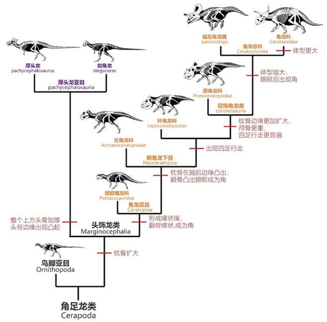 地球2.3亿年前下了场200万年的雨，帮恐龙塑造一亿六千万年霸业350 / 作者:123457865 / 帖子ID:130205