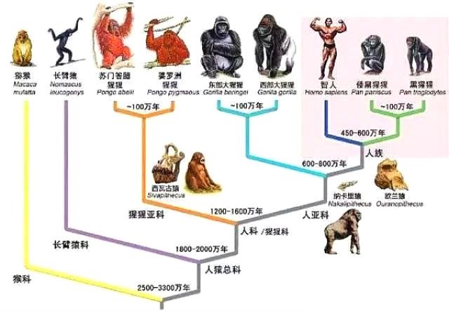 从四个角度来证明进化论是否有错！85 / 作者:阿拉斯加他爸爸 / 帖子ID:130417