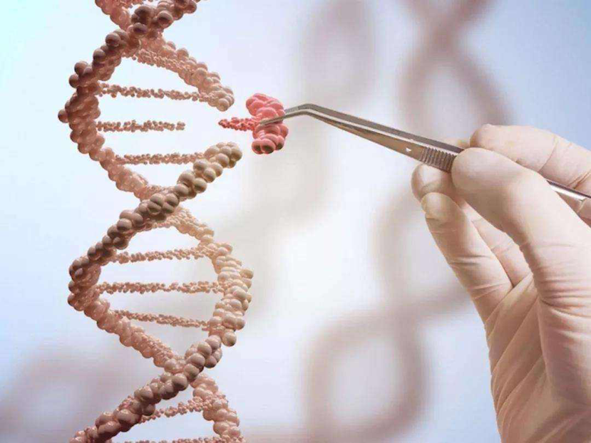 这只猩猩差点“变成人”？发生基因突变，和人类仅有1.2%的差异76 / 作者:零度2017 / 帖子ID:130183
