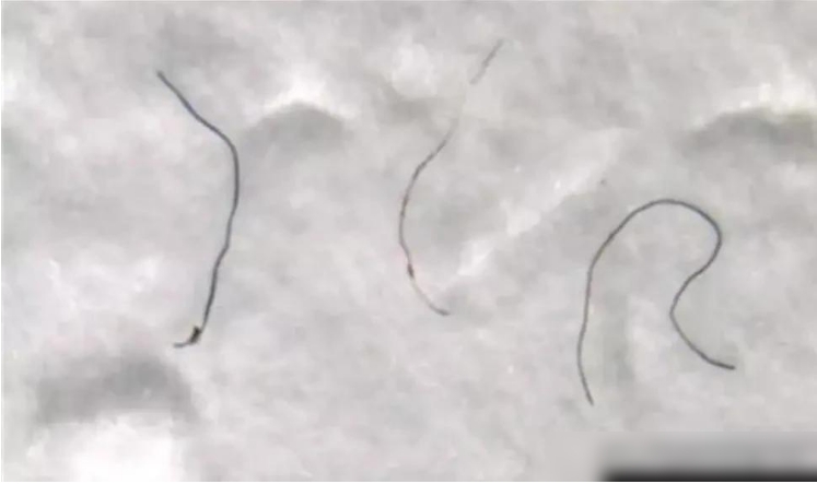珠穆朗玛峰怎么了?山顶发现不该存在的东西,科学家:不是好事!751 / 作者:德行天下853 / 帖子ID:129438 珠穆朗玛峰怎么了?山顶发现不该存在的东西,科学家:不是好事!751 / 作者:德行天下853 / 帖子ID:129438