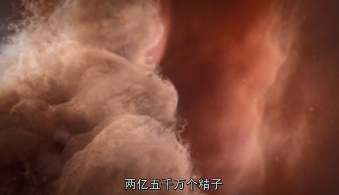 死去的人体细胞开始攻击我，属于人类的奇迹终于被发现224 / 作者:露水珠珠 / 帖子ID:130079