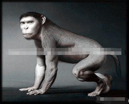 从生物进化的角度分析「美人鱼」是否存在493 / 作者:单丁鹤纷 / 帖子ID:129745