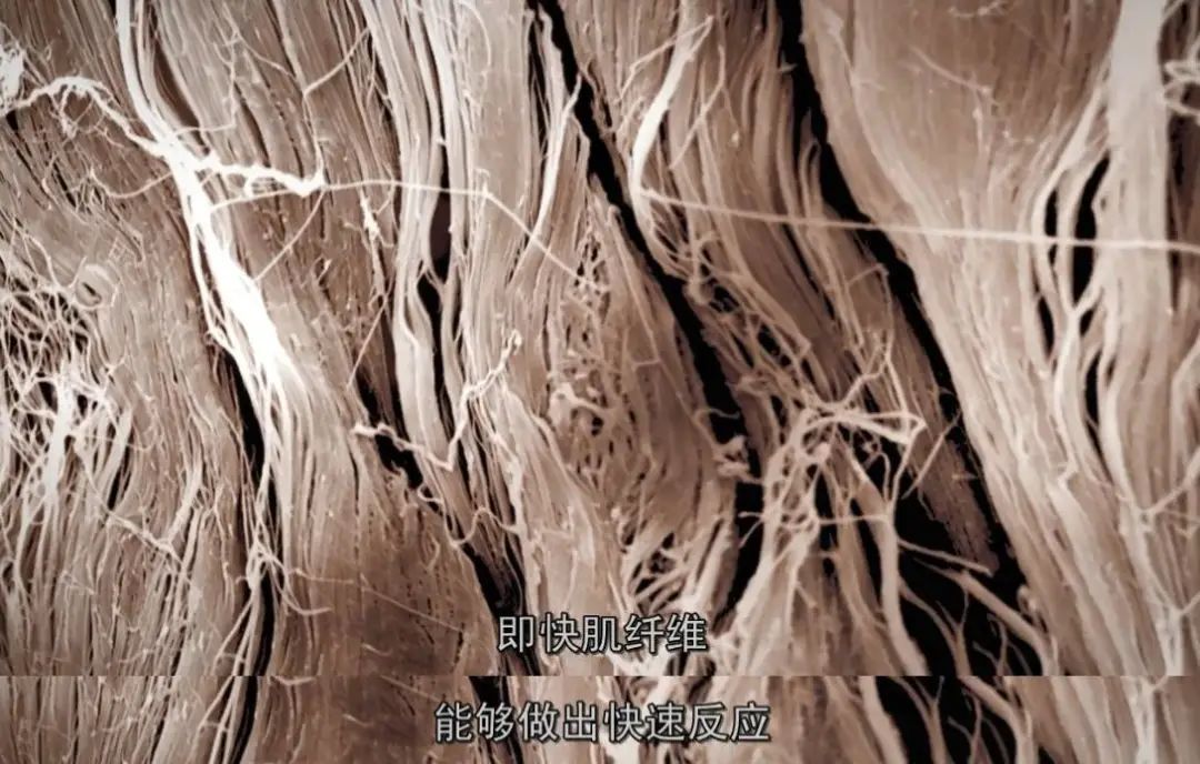 死去的人体细胞开始攻击我，属于人类的奇迹终于被发现549 / 作者:露水珠珠 / 帖子ID:130079