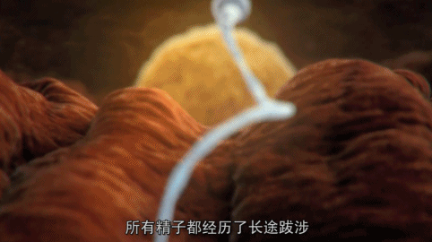 死去的人体细胞开始攻击我，属于人类的奇迹终于被发现181 / 作者:露水珠珠 / 帖子ID:130079