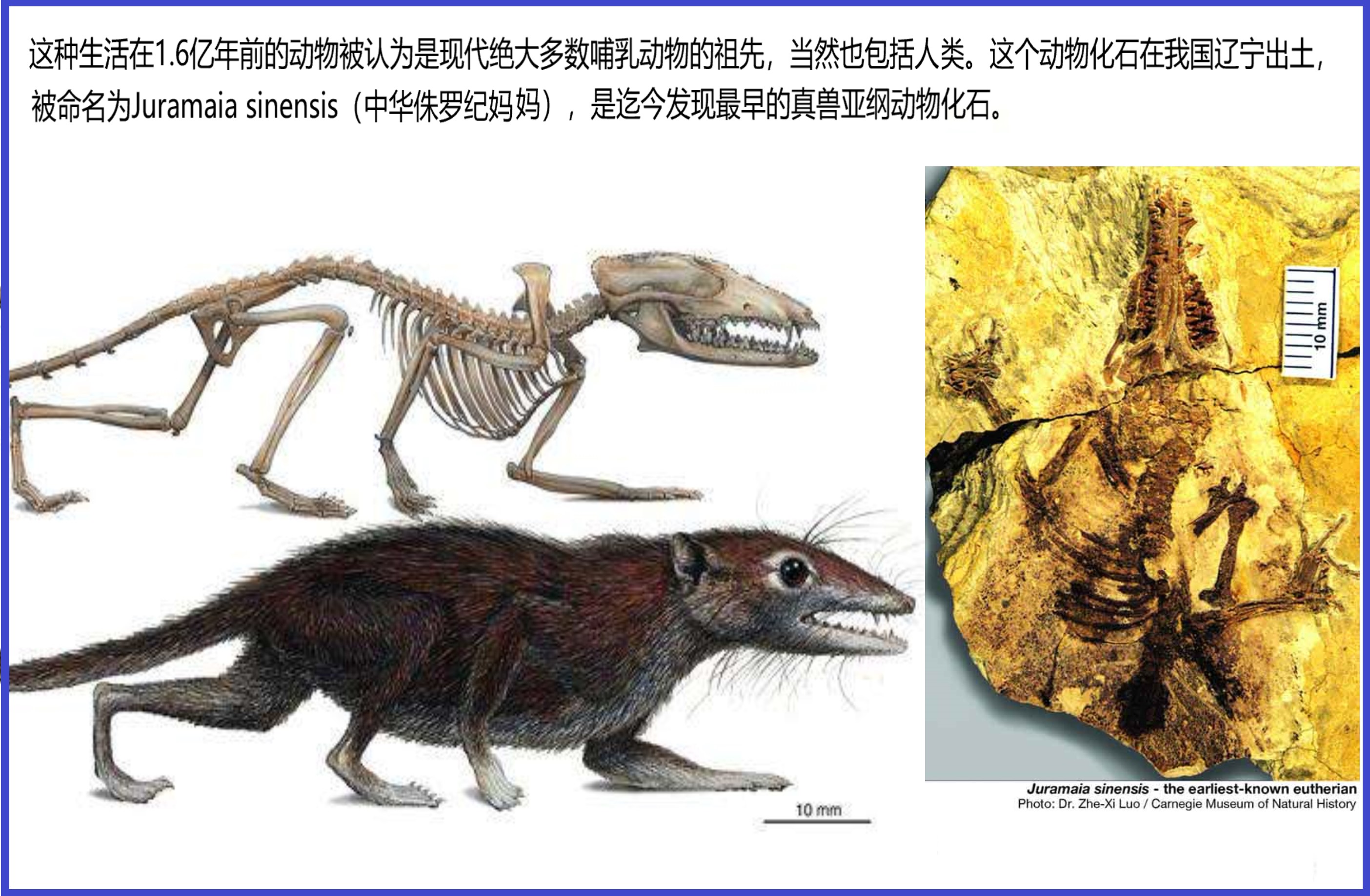 古代有许多发达事物，真的无法解释，预示史前文明存在吗？735 / 作者:第三只手烈 / 帖子ID:130373