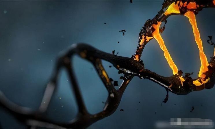 为什么生物非要进化出“性”？没有性的世界会怎么样？332 / 作者:yhzdmb342 / 帖子ID:130038