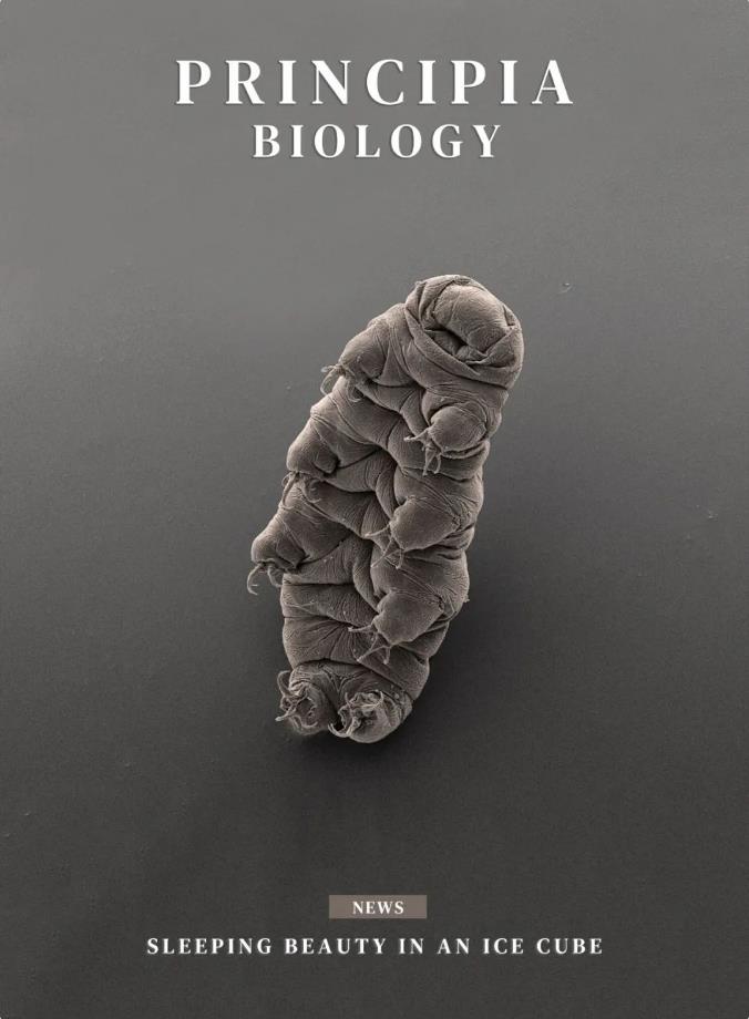极致寒冷下,地表最强生物会停止变老499 / 作者:彩云彩2017 / 帖子ID:129805 极致寒冷下,地表最强生物会停止变老499 / 作者:彩云彩2017 / 帖子ID:129805