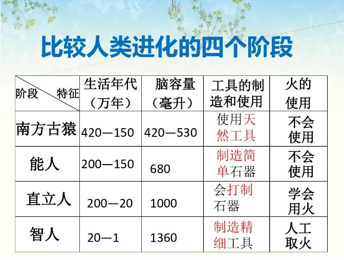 深度长文：当孩子问“为什么猿猴能变成人？”时，该如何回答？603 / 作者:兴冲冲丈 / 帖子ID:129572