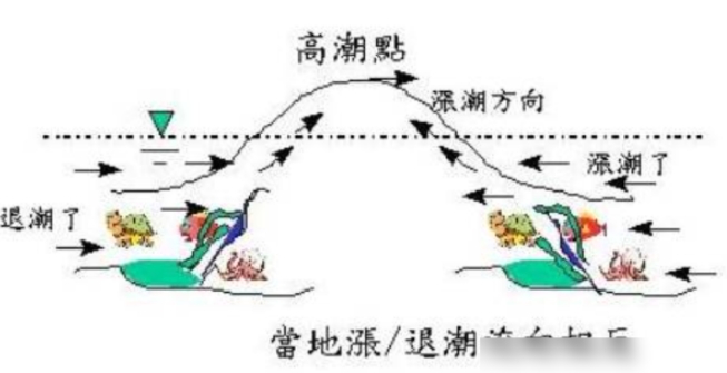 大海为何会涨潮退潮？退潮以后海水去哪了？看完长知识了503 / 作者:绚丽源自寂寞悍 / 帖子ID:129453