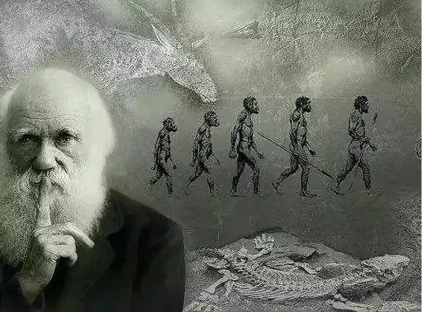 生命起源于何处？陨石中发现古微生物化石，地球形成前或已存在823 / 作者:意大之 / 帖子ID:130379