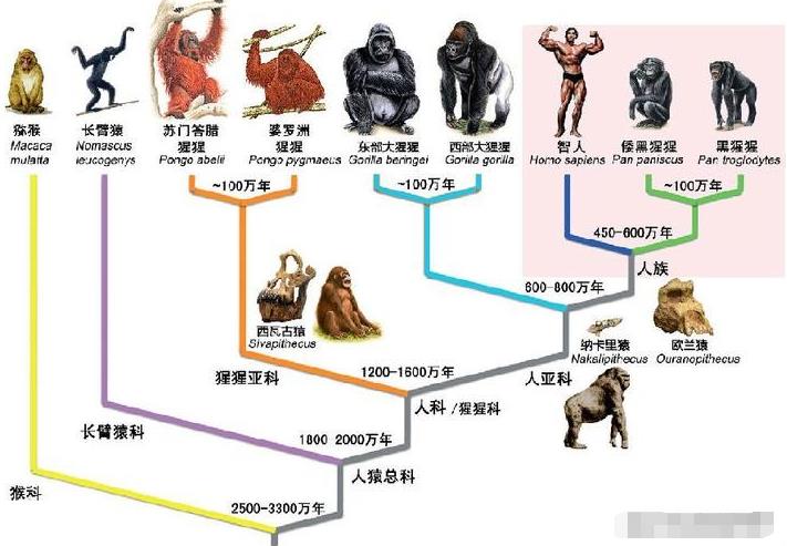 46亿年历史的地球出现过几次文明？人类文明也只是短暂一瞬间吗？603 / 作者:阿呜O / 帖子ID:130102