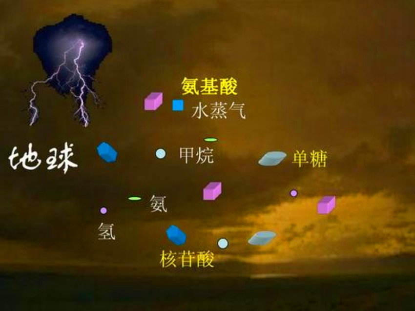 为什么仍然有人反对进化论？271 / 作者:yhzdmb342 / 帖子ID:130411