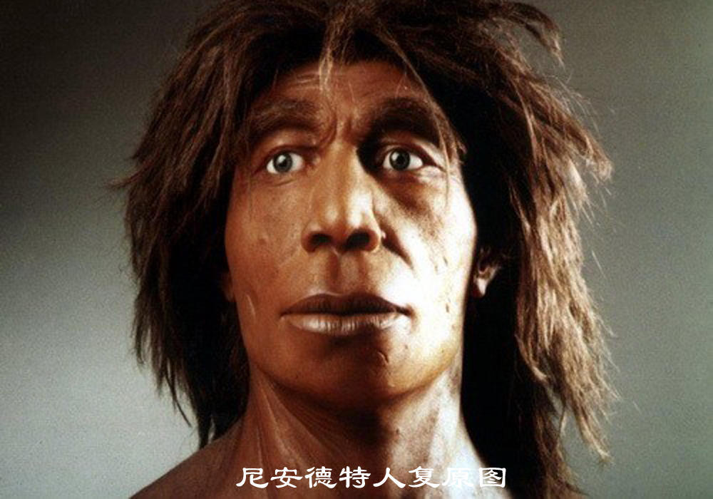 进化：人类从猿到人的这几百万年528 / 作者:老三是叔叔 / 帖子ID:130387