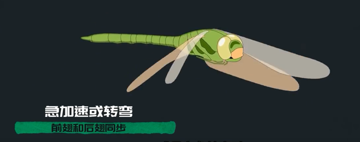 为何总是有人说「蜻蜓」不是地球上的生物364 / 作者:断翅小蝶腥 / 帖子ID:130092