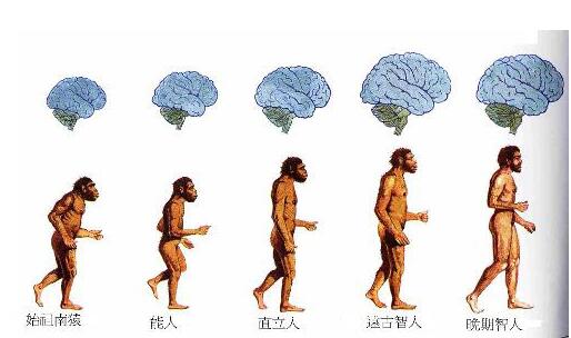 生命的起源是怎样的？达尔文的进化论还可信吗？715 / 作者:德行天下853 / 帖子ID:130400