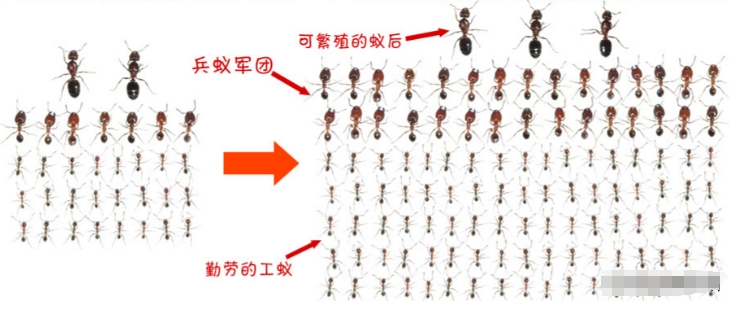 在某种意义上来讲，蚂蚁才是这个地球进化最完美的生物，没有之一318 / 作者:123457166 / 帖子ID:129573