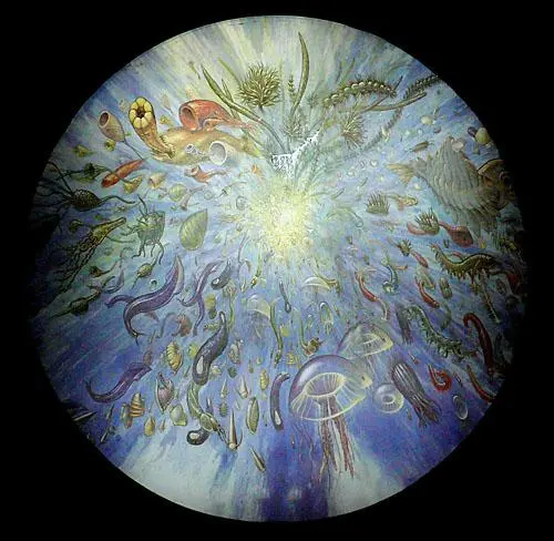 最新研究称章鱼或于5亿年前来到地球，为何总说章鱼是外星生物？479 / 作者:刘moon / 帖子ID:130195