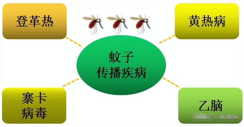 都说存在即合理，那蚊子存在的意义是什么？蚊子灭绝了世界会怎样297 / 作者:aygx / 帖子ID:130023