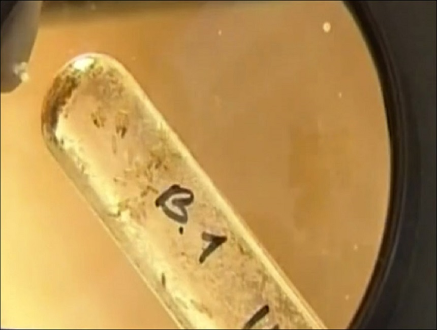 为了永生，科学家给自己注射350万年前的细菌，现在如何了？843 / 作者:绘粹凭 / 帖子ID:129913
