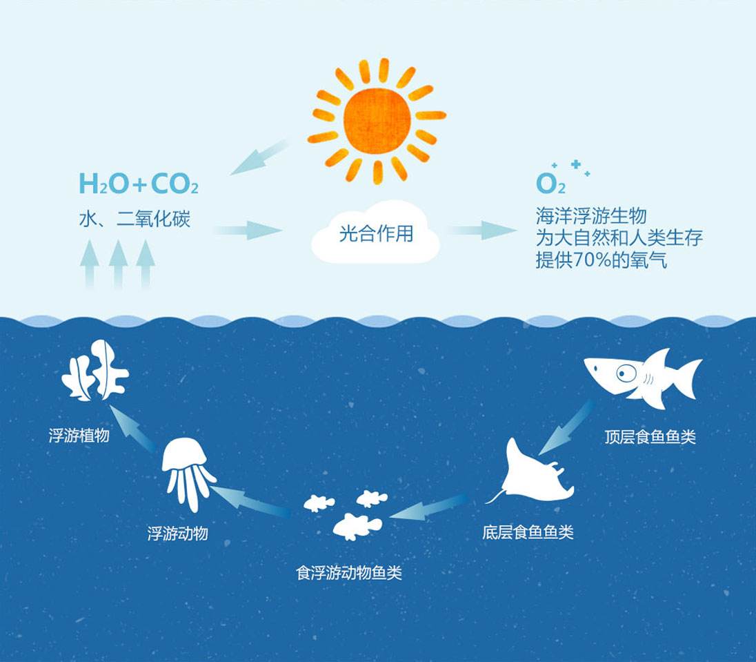 鲨鱼进化悲歌：被其他霸主欺负亿万年的感觉，人类不会懂403 / 作者:阿呜O / 帖子ID:130000