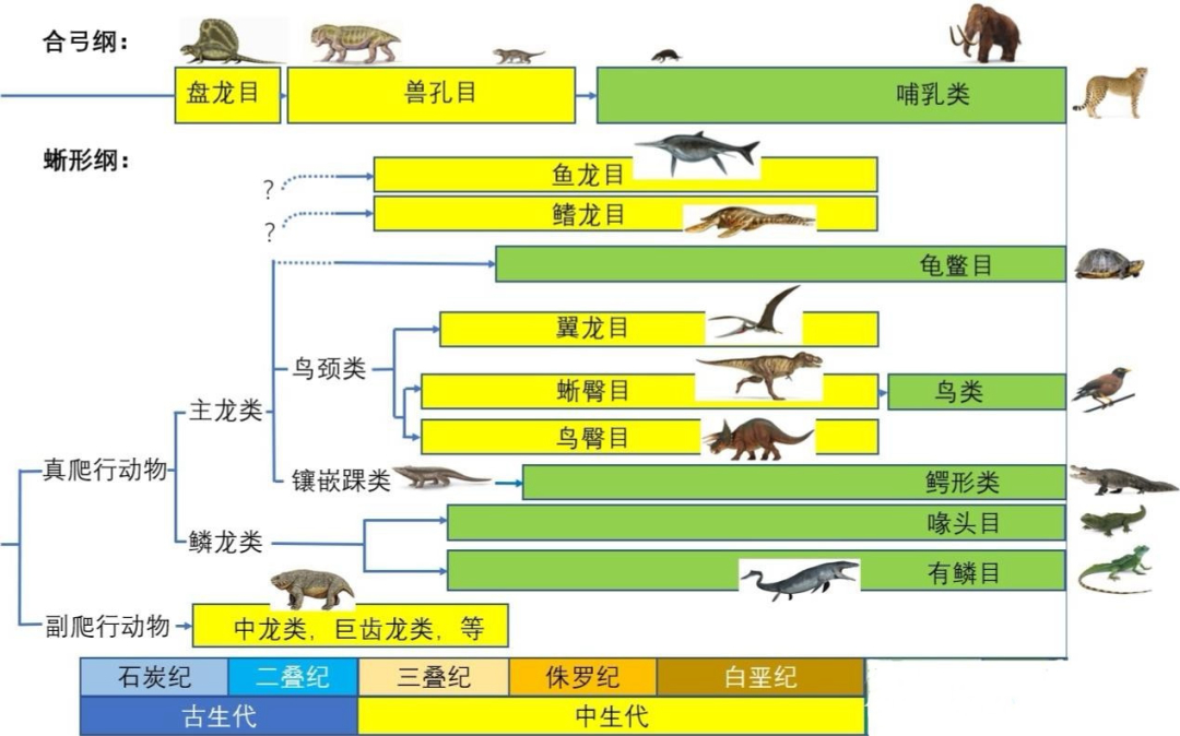 地球2.3亿年前下了场200万年的雨，帮恐龙塑造一亿六千万年霸业157 / 作者:123457865 / 帖子ID:130205
