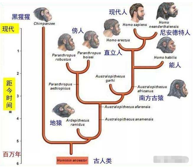如果人类全部灭亡了，数亿年后人类还能再次进化出来吗？236 / 作者:绚丽源自寂寞悍 / 帖子ID:130119