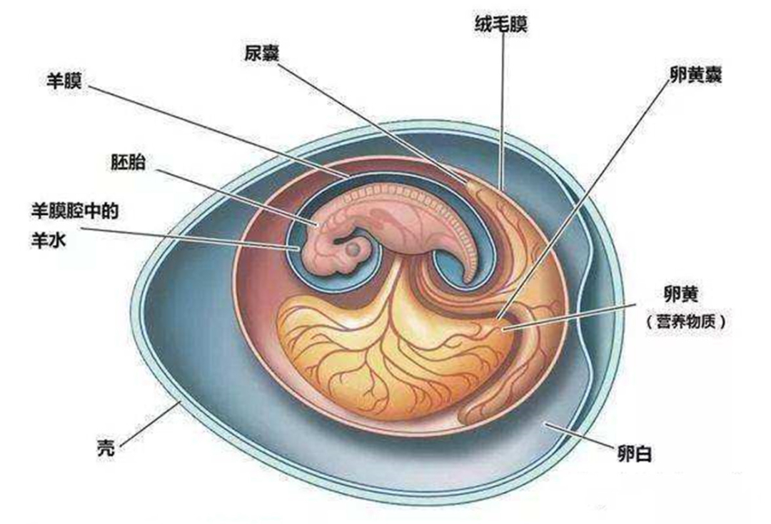 地球2.3亿年前下了场200万年的雨，帮恐龙塑造一亿六千万年霸业567 / 作者:123457865 / 帖子ID:130205