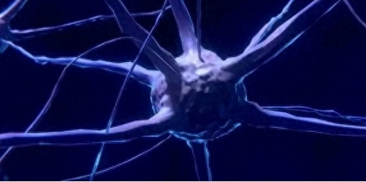 人死后，体内的“僵尸基因”开始活跃，试图复活人类658 / 作者:第三只手烈 / 帖子ID:129608