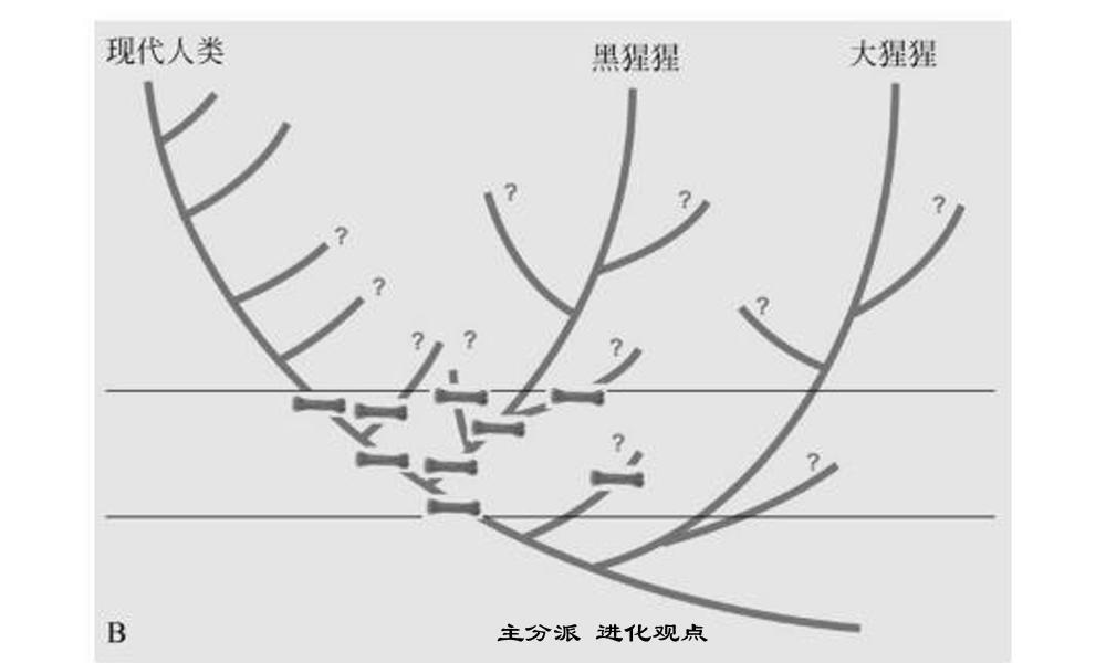 进化：人类从猿到人的这几百万年478 / 作者:老三是叔叔 / 帖子ID:130387