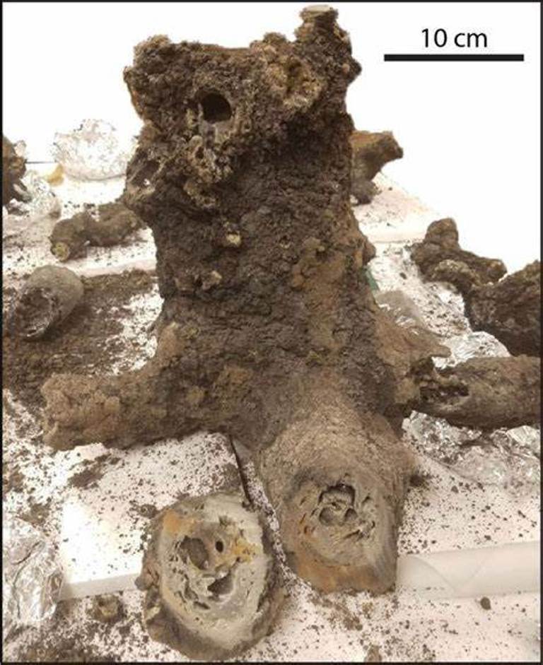 生命起源有新说！研究发现闪电或“激发”地球出现生命844 / 作者:兴冲冲丈 / 帖子ID:130365