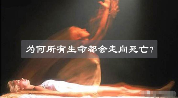 生命为什么最终都会走向终结？死亡或许并不像我们想象的那么可怕332 / 作者:啵啵小奥特 / 帖子ID:130118