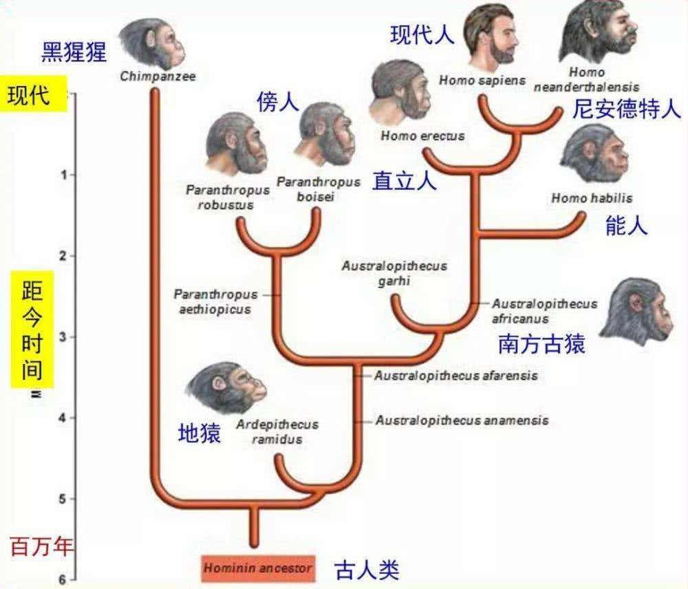 6500万年前恐龙灭绝了，人类历史不过百万年，空白期发生了什么？878 / 作者:熊明青 / 帖子ID:130185