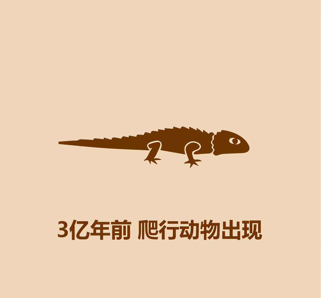30秒恐龙简史50 / 作者:啵啵小奥特 / 帖子ID:130268