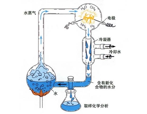生命起源于何处？陨石中发现古微生物化石，地球形成前或已存在556 / 作者:意大之 / 帖子ID:130379