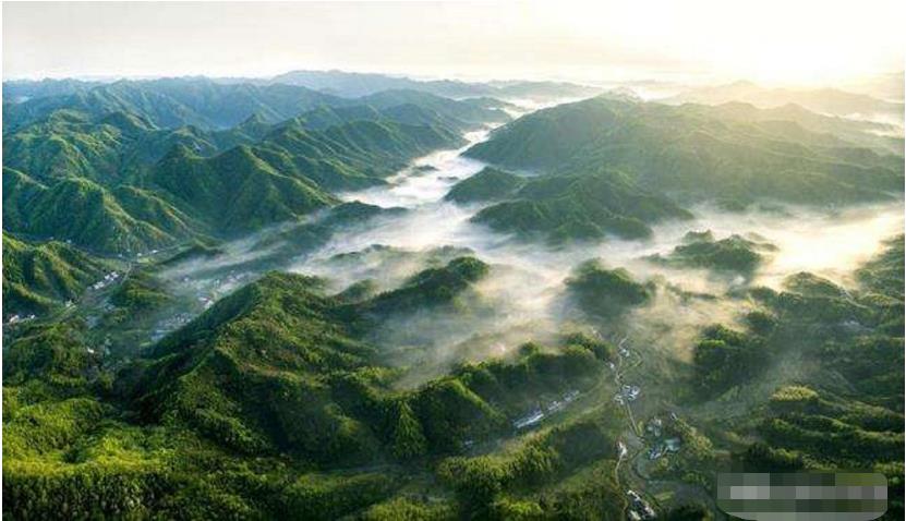 世界上最大的蛇是哪种，它到底有多大？秦岭真的存在盘山巨蟒吗？165 / 作者:啵啵小奥特 / 帖子ID:130193