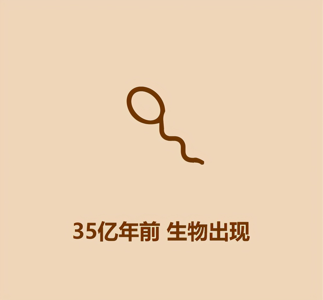 30秒恐龙简史1 / 作者:啵啵小奥特 / 帖子ID:130268
