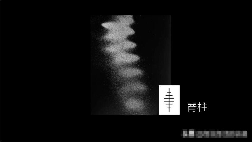 这个男人测量过金字塔，并暗示了他发现的秘密89 / 作者:熊明青 / 帖子ID:130278