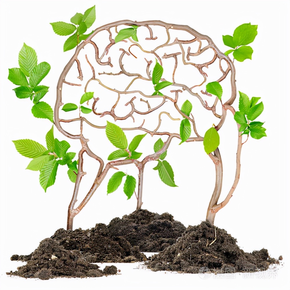 为什么植物没有进化出大脑或者思想体？你对进化论有多少误解？492 / 作者:掌柜able / 帖子ID:130212