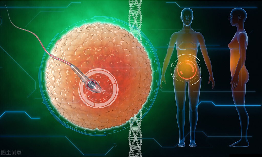 科学家拍到：精子和卵子结合的那一刻，真的会瞬间爆发出巨大闪光736 / 作者:绚丽源自寂寞悍 / 帖子ID:130016