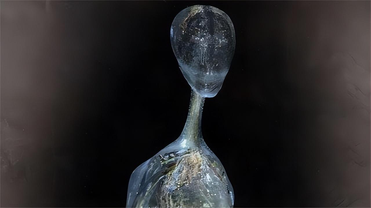 6种生命形态，硅基生命排第一，为何地球要选择第三的碳基生命？191 / 作者:aygx / 帖子ID:129732