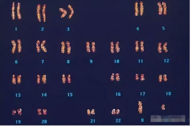 外星人创造论：600万年前外星人对黑猩猩基因改造创造了人类？945 / 作者:绘粹凭 / 帖子ID:130180