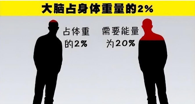 深度长文：当孩子问“为什么猿猴能变成人？”时，该如何回答？84 / 作者:兴冲冲丈 / 帖子ID:129572