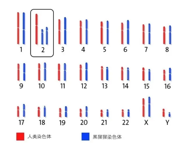 深度长文：进化论是假说还是科学理论？215 / 作者:啵啵小奥特 / 帖子ID:129575