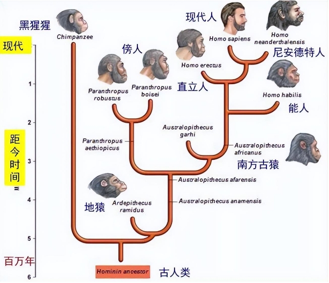 深度长文：进化论是假说还是科学理论？650 / 作者:啵啵小奥特 / 帖子ID:129575