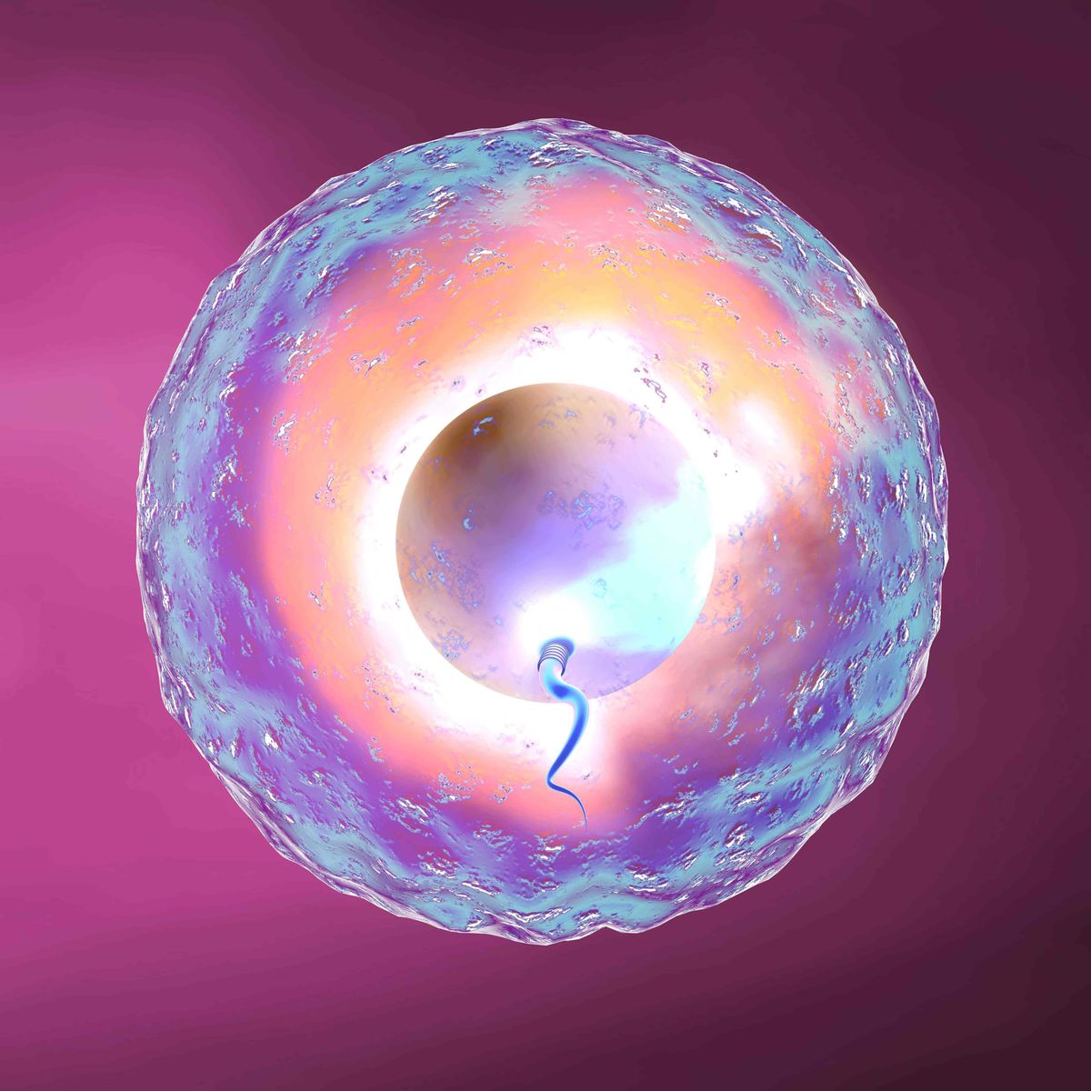 科学家拍到：精子和卵子结合的那一刻，真的会瞬间爆发出巨大闪光237 / 作者:绚丽源自寂寞悍 / 帖子ID:130016