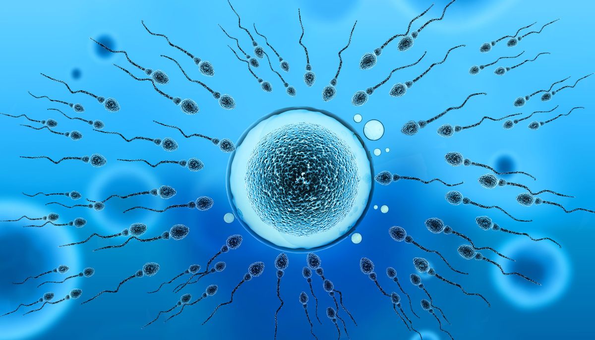 科学家拍到：精子和卵子结合的那一刻，真的会瞬间爆发出巨大闪光47 / 作者:绚丽源自寂寞悍 / 帖子ID:130016